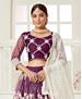 Picture of Excellent Wine Lehenga Choli