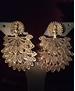 Picture of Comely Fancy Earrings