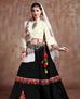 Picture of Elegant Black Lehenga Choli