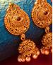 Picture of Sublime Gold Earrings