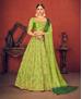 Picture of Amazing Floracance Green Lehenga Choli