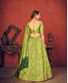 Picture of Amazing Floracance Green Lehenga Choli