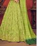 Picture of Amazing Floracance Green Lehenga Choli