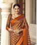 Picture of Lovely Brown Brasso Saree