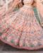 Picture of Ideal Light Peach Lehenga Choli