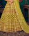 Picture of Excellent Green Lehenga Choli