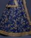 Picture of Pleasing Blue Lehenga Choli