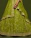 Picture of Nice Neon Green Lehenga Choli