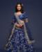 Picture of Excellent Blue Lehenga Choli