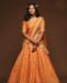 Picture of Fascinating Orange Lehenga Choli