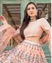 Picture of Ideal Light Peach Lehenga Choli