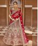 Picture of Comely Red Lehenga Choli