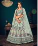 Picture of Superb Pista Lehenga Choli