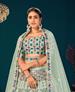 Picture of Superb Pista Lehenga Choli