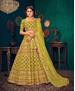 Picture of Excellent Green Lehenga Choli