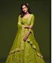 Picture of Stunning Mahendi Lehenga Choli