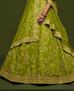 Picture of Stunning Mahendi Lehenga Choli