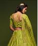 Picture of Stunning Mahendi Lehenga Choli