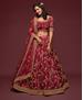 Picture of Sublime Maroon Lehenga Choli