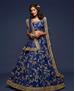 Picture of Pleasing Blue Lehenga Choli