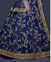 Picture of Pleasing Blue Lehenga Choli