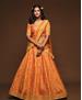 Picture of Bewitching Orange Lehenga Choli