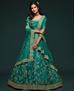 Picture of Appealing Green Lehenga Choli