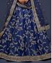 Picture of Excellent Blue Lehenga Choli