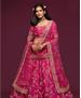 Picture of Splendid Pink Lehenga Choli