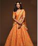 Picture of Fascinating Orange Lehenga Choli