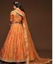 Picture of Fascinating Orange Lehenga Choli