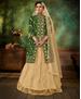 Picture of Shapely Green Designer Salwar Kameez