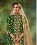 Picture of Shapely Green Designer Salwar Kameez