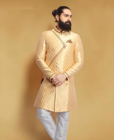 Picture of Admirable Light Gold Indo Western