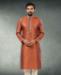 Picture of Beauteous Two Tone Brown/Blue Kurtas