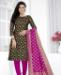 Picture of Sightly Black Casual Saree