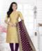 Picture of Splendid Gold Casual Saree