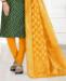 Picture of Splendid Green Casual Saree