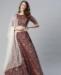 Picture of Shapely Maroon Lehenga Choli