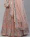 Picture of Shapely Peach Lehenga Choli