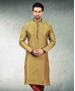 Picture of Resplendent Multi Kurtas