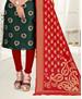 Picture of Splendid Green Straight Cut Salwar Kameez