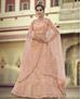 Picture of Charming Peach Lehenga Choli