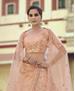 Picture of Charming Peach Lehenga Choli