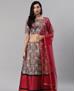 Picture of Shapely Grey Lehenga Choli