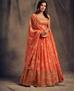 Picture of Superb Orange Lehenga Choli