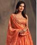 Picture of Superb Orange Lehenga Choli