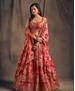 Picture of Amazing Red Lehenga Choli