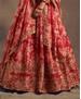 Picture of Amazing Red Lehenga Choli