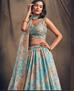 Picture of Comely Sky Blue Lehenga Choli